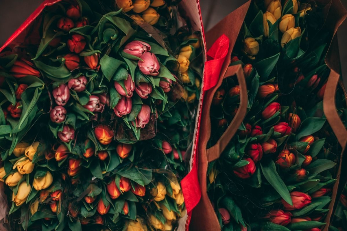 Kraft kâğıda sarılı kırmızı, sarı ve pembe lalelerden hazırlanmış buketler