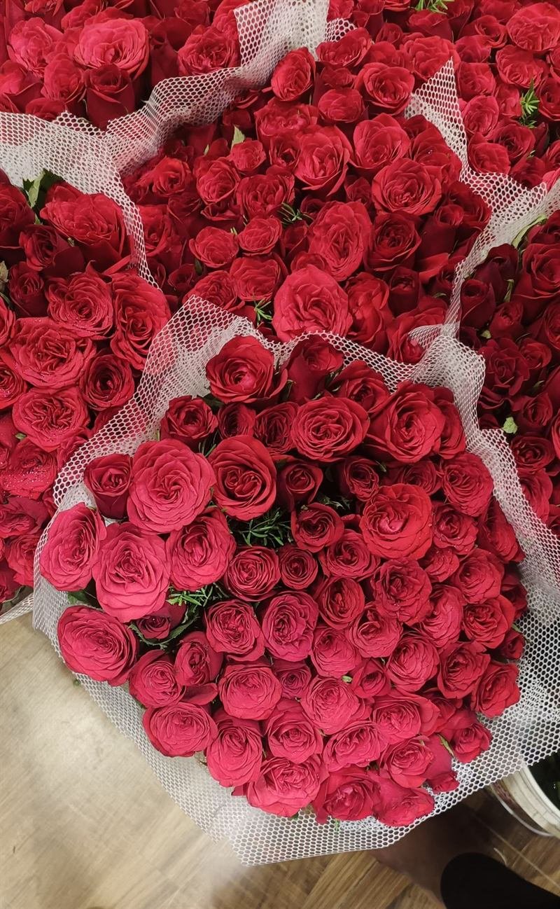 Tülle sarılmış, söz ve isteme merasimleri için hazırlanmış kırmızı gül buketleri
