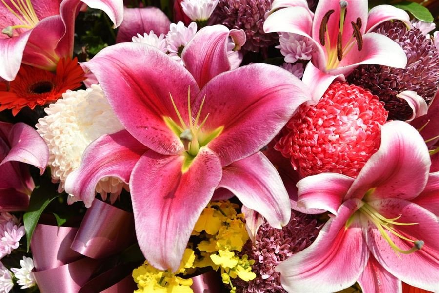 Pembe lilyum, kasımpatı ve gerberalardan oluşan mevsim çiçeği seçkisi